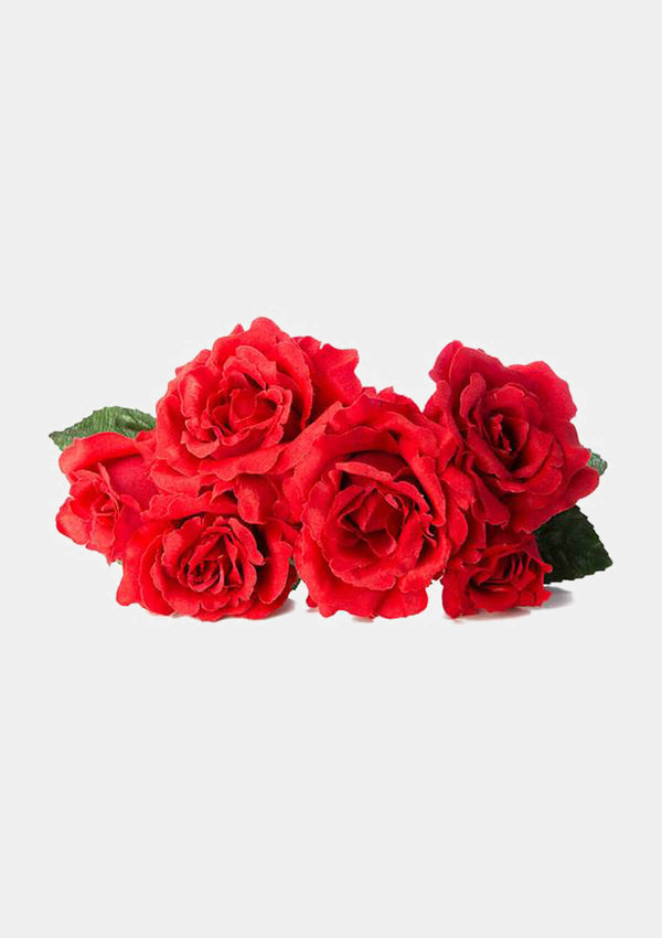 Flamenco six roses bouquet