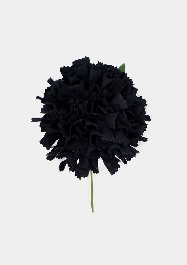 Carnation black